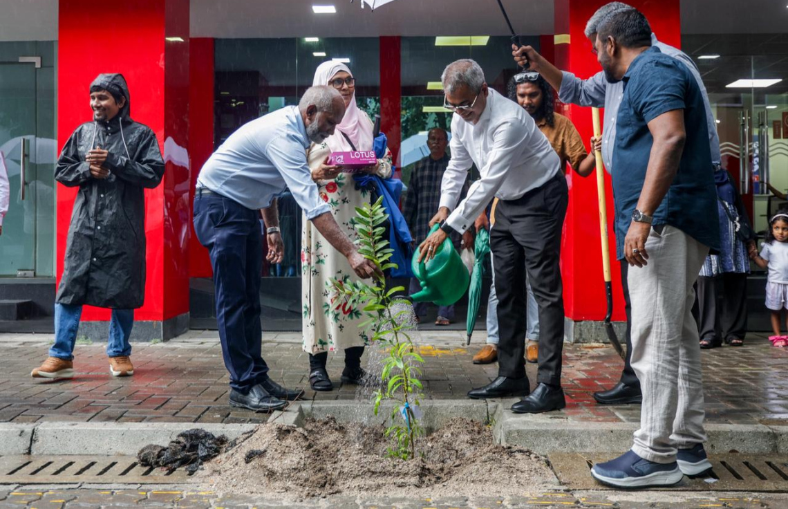 ދިވެހި ރުކާއި ހައިވަކަރު ގަހާ އެކު ވިލިމާލޭގައި 500 ގަސް އިންދައިފި